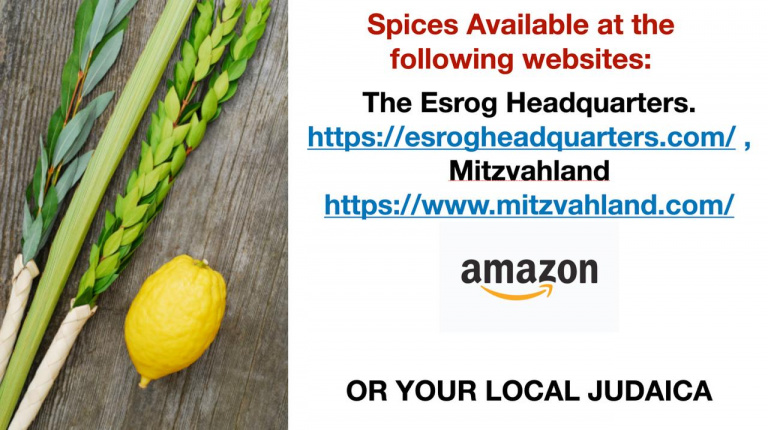 2025-10-05 Sukkot The Esrog