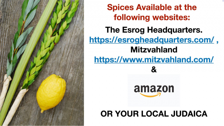 2026-09_10 Sukkot The Esrog